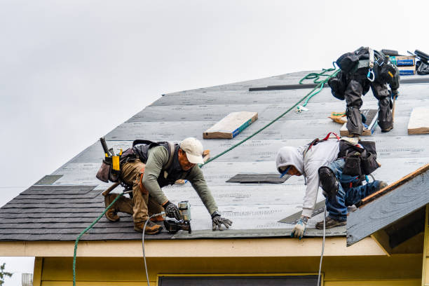 Professional Gutter Installation technician working in Stevensville, VA